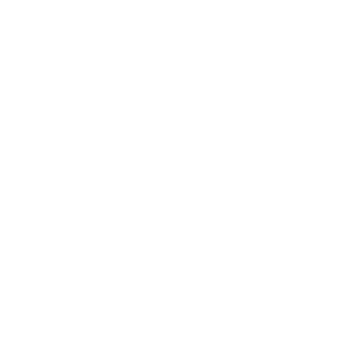 Softroo Email Services